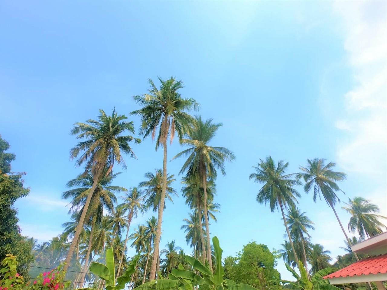 Wirason Villa Pool Maret Esterno foto